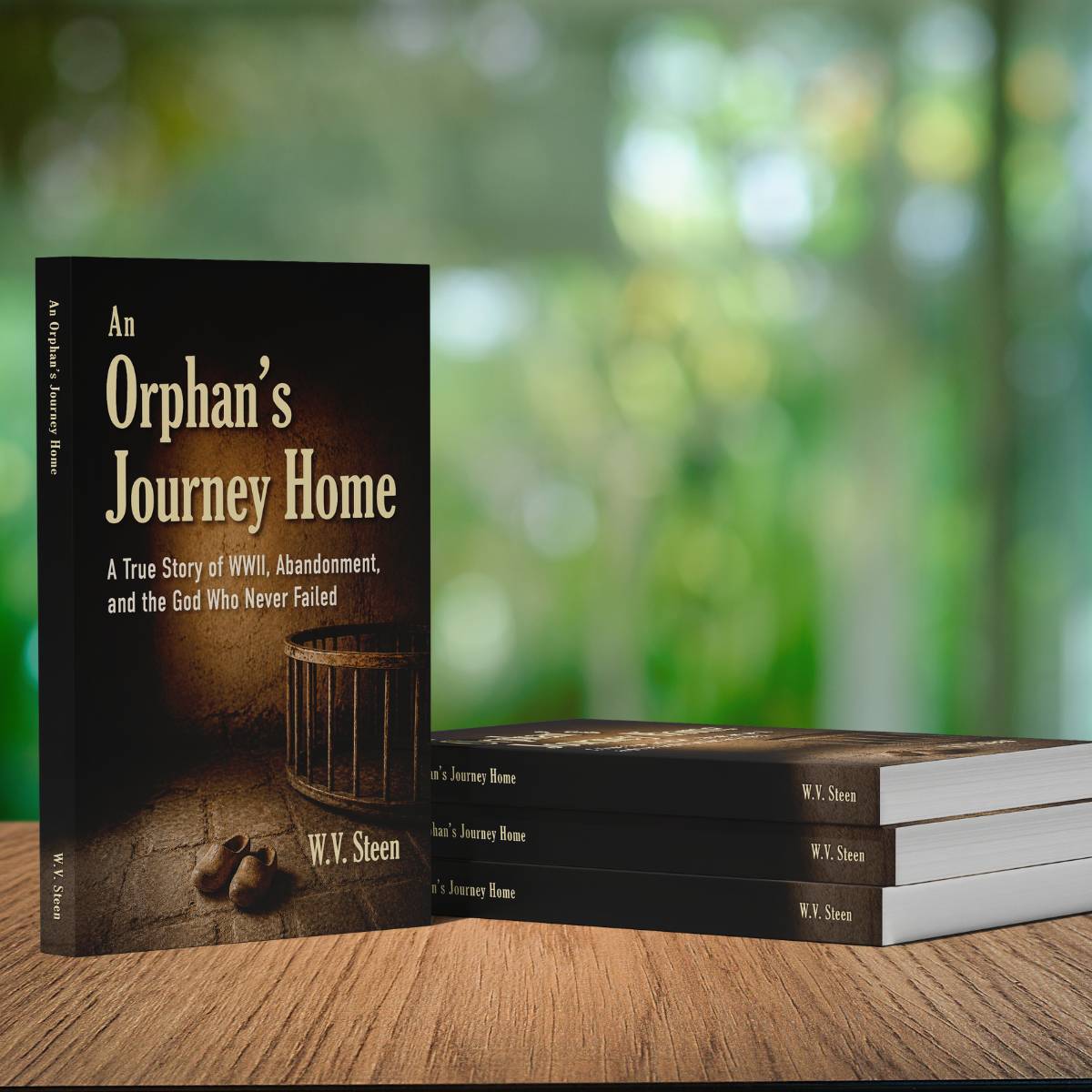 An Orphan's Journey Home by Bill Steen