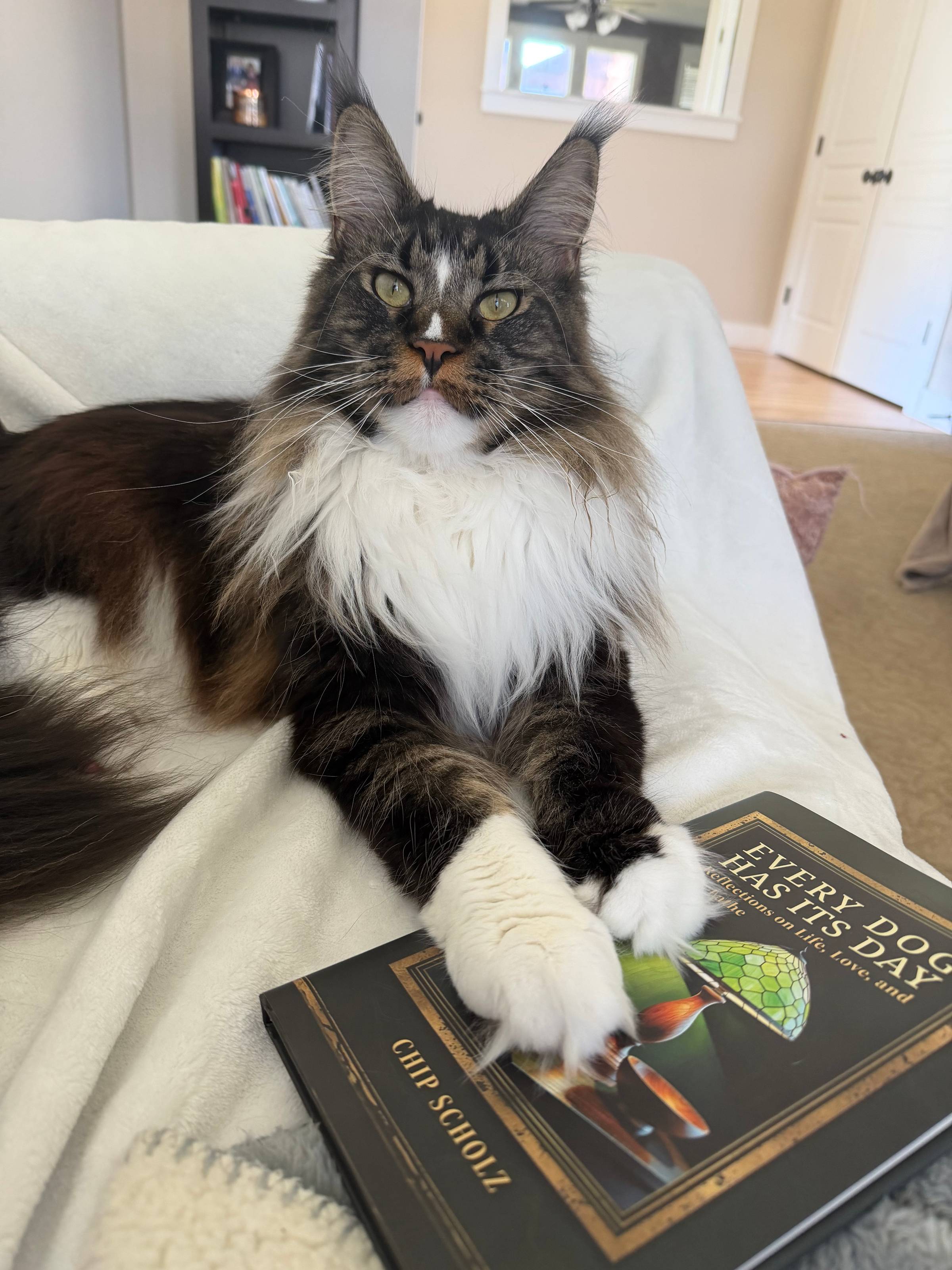Lincoln with an Aloha book