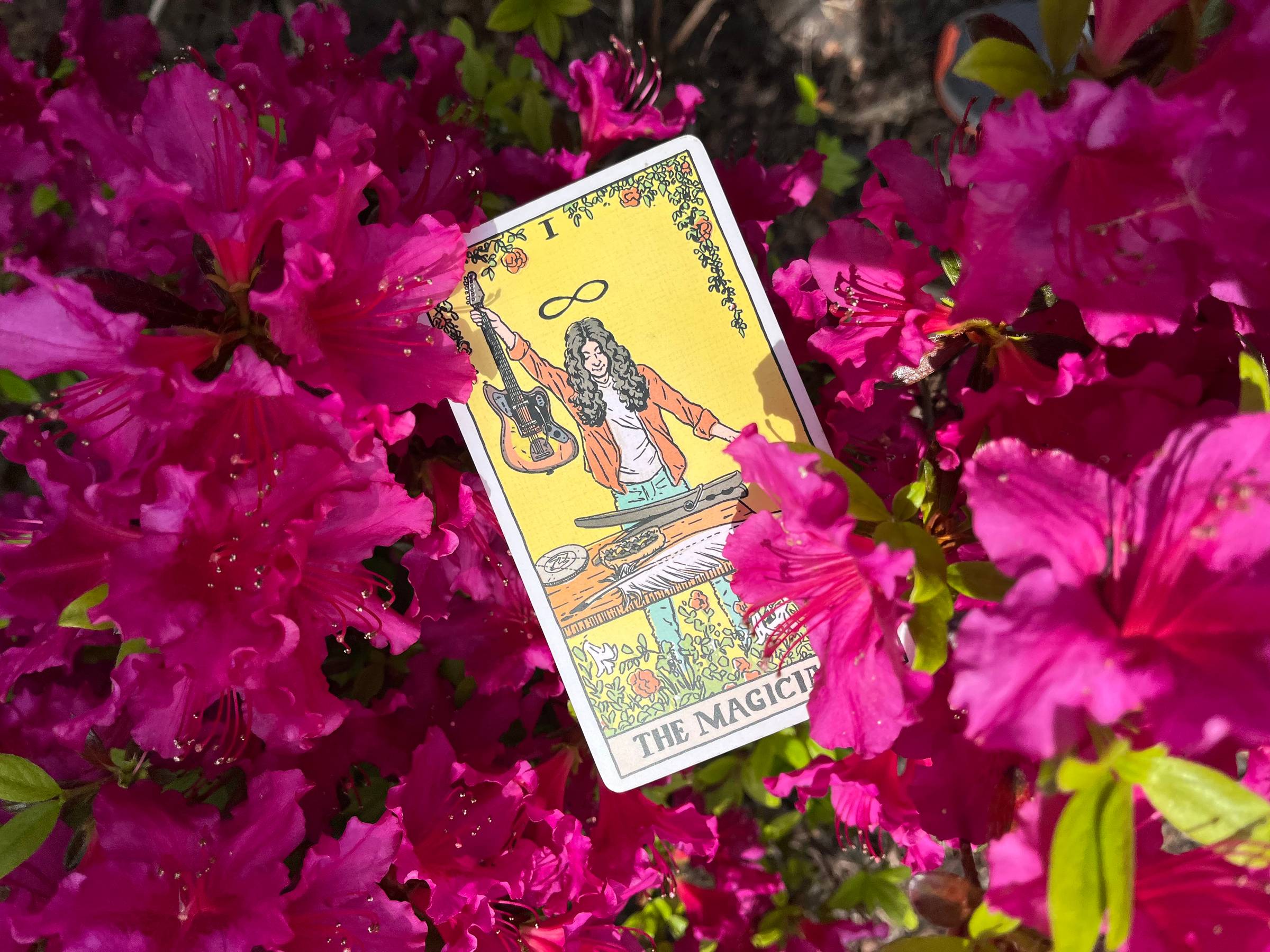 The Magician tarot card in an azalea bush.