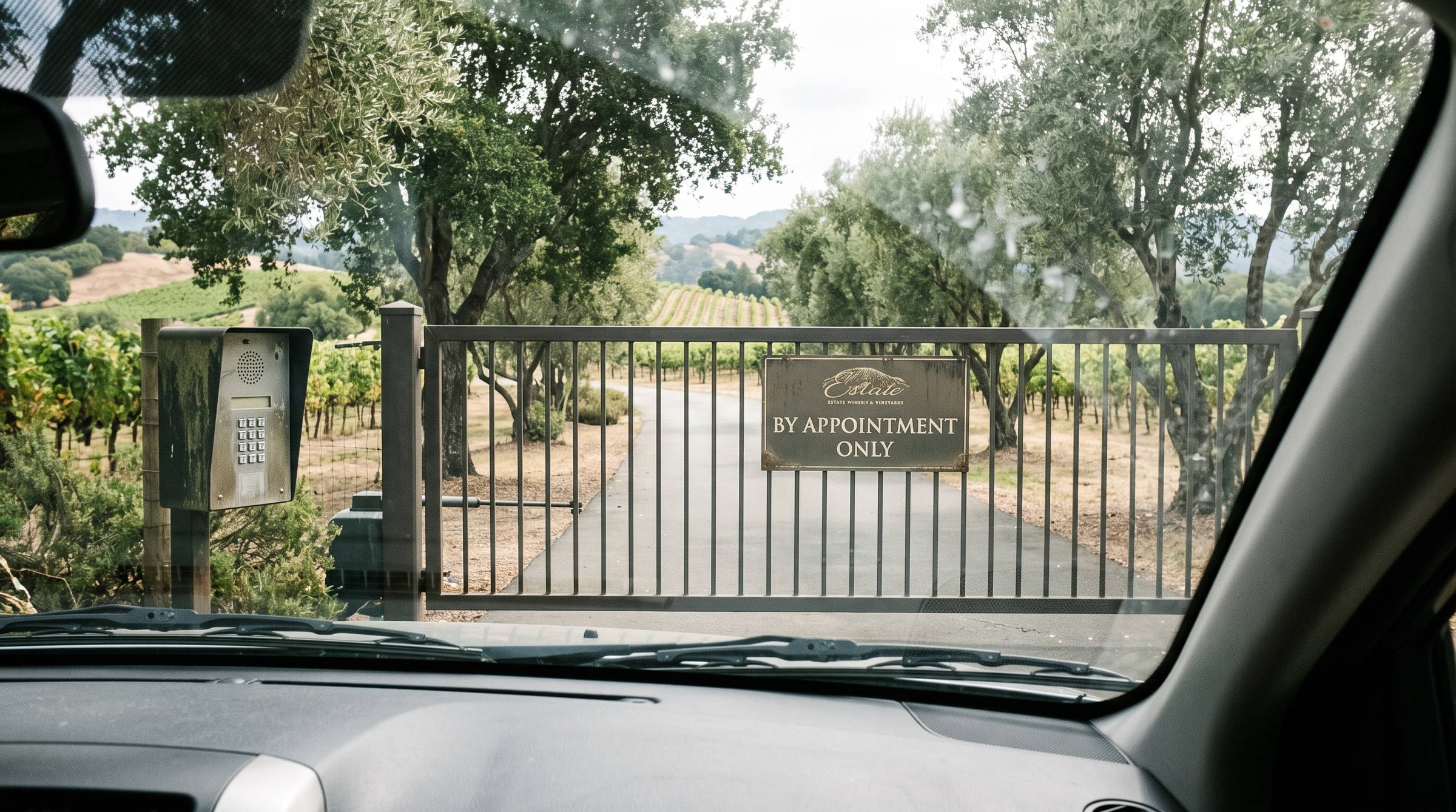A view through a car windshield of a winery back road lined with oak trees, with vineyards and rolling hills beyond.