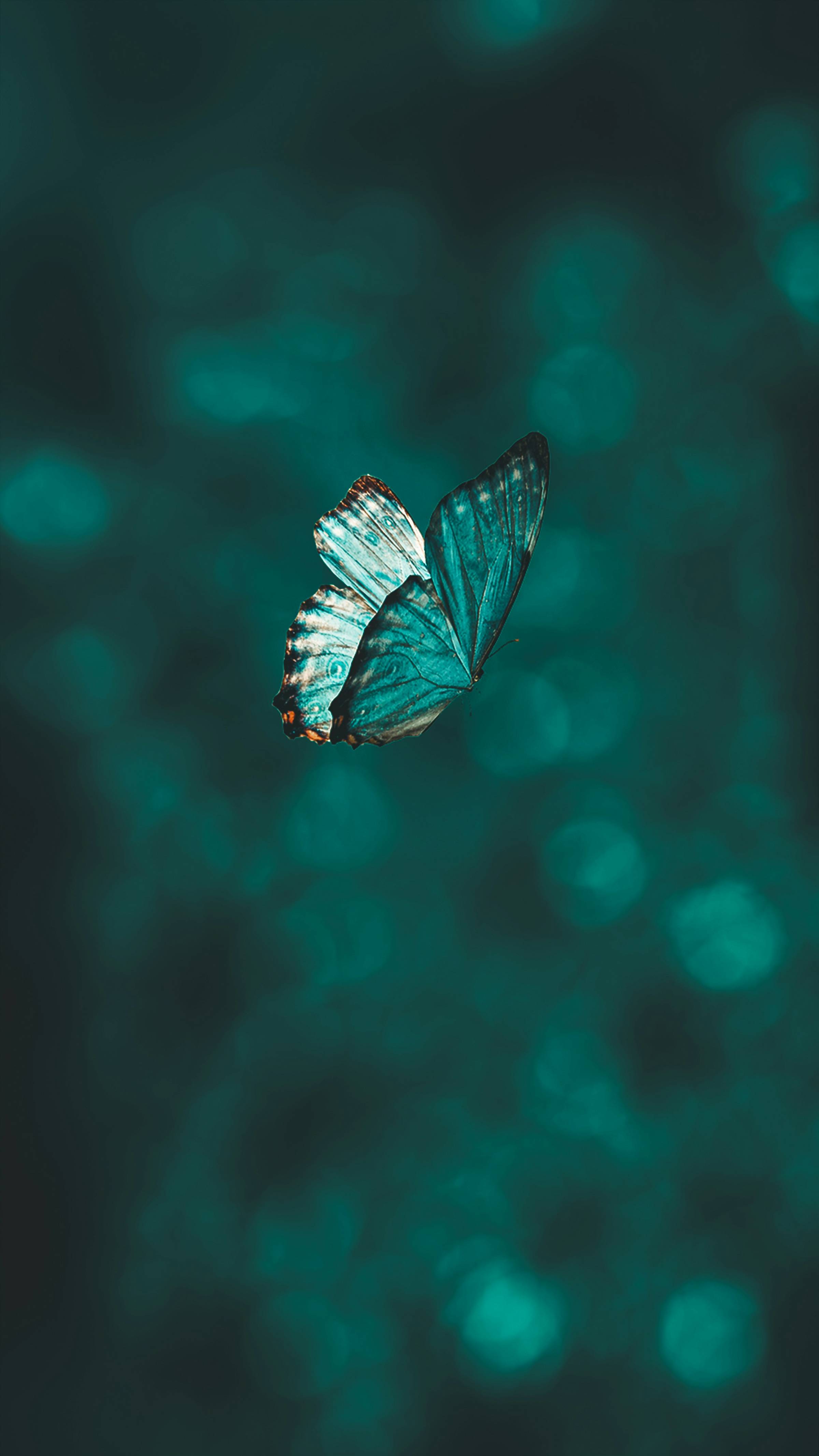 4-part Framework for Transformation