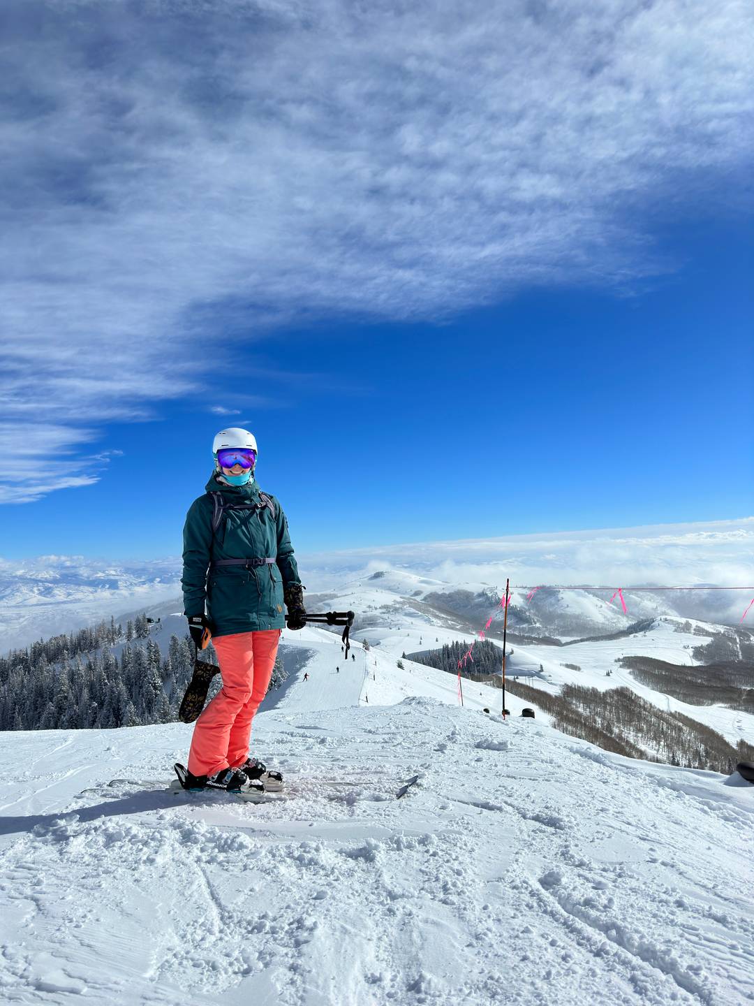 Skier standing on top of snowy mountain