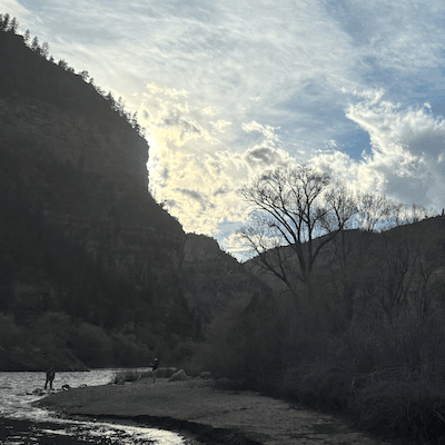 The sun sets behind jagged mountain peaks overlooking a tree on the bank of the Colarado river