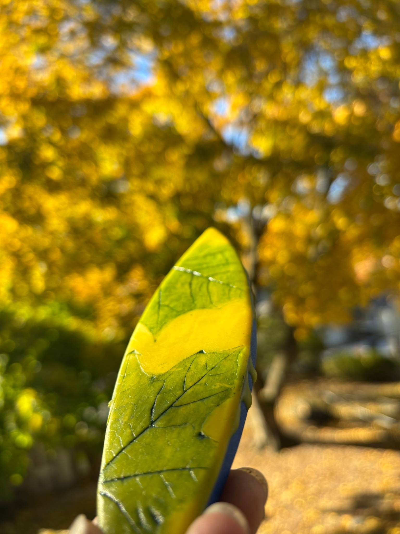 ncaustic leaf panel held against the Norwegian maple that inspired it, glowing golden in fall. Fort Wayne, November 2025.