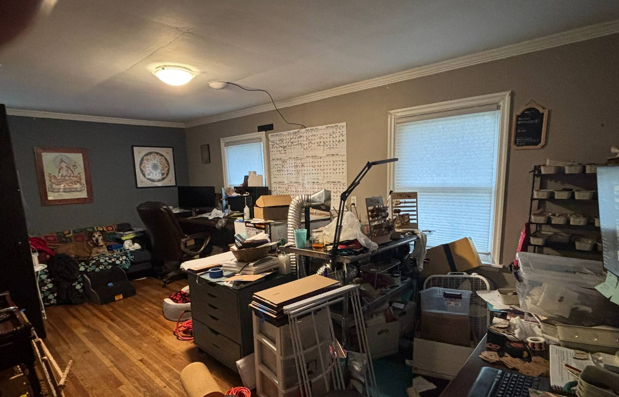 Messy living room studio. 