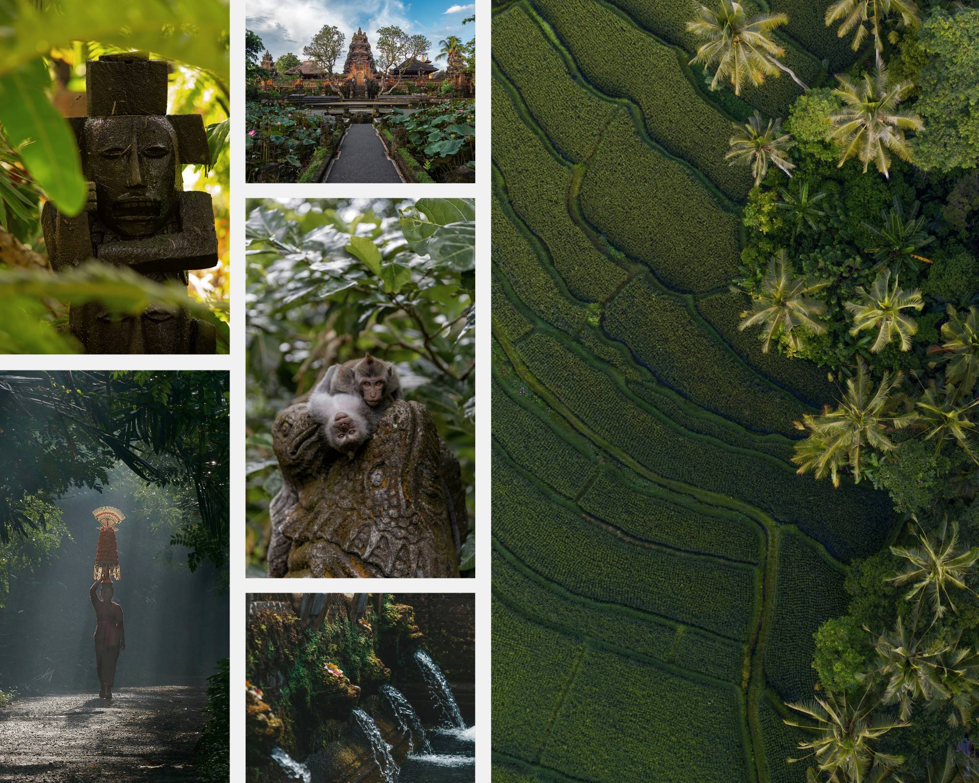 retreat bali