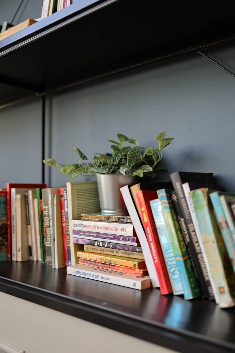 Books and a plant decorate a bookshelf.