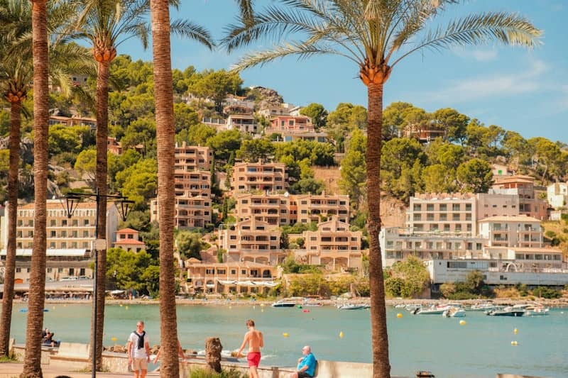 Palm trees line a bay with buildings on a hill.