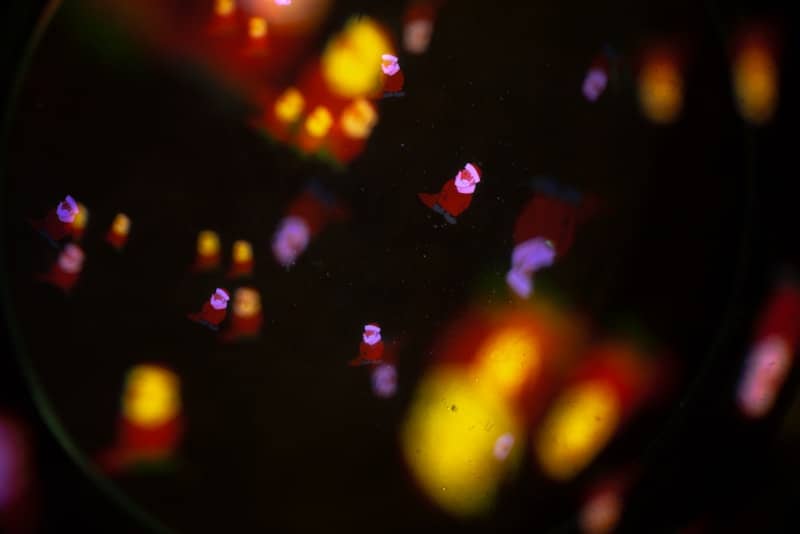 Abstract colorful lights and shapes on dark background