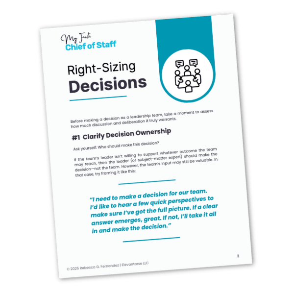 Cover of the decision e-book
