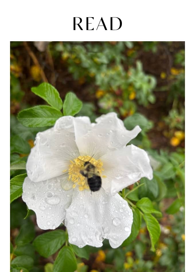 Read What Is AQ? Why Adaptability Is The Most Important Quality You Can Cultivate Right Now