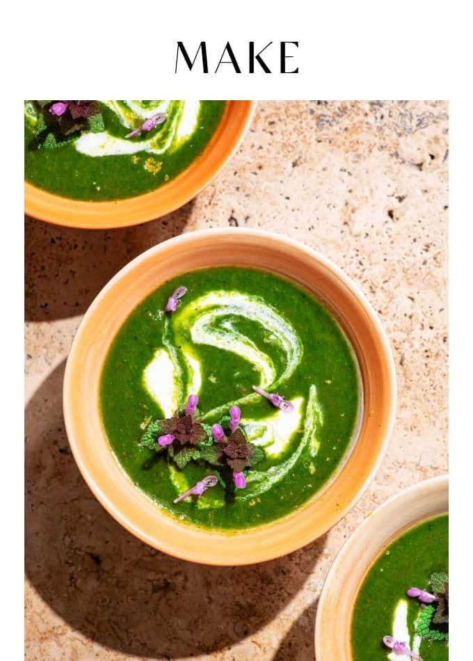 Make Stinging Nettle Soup