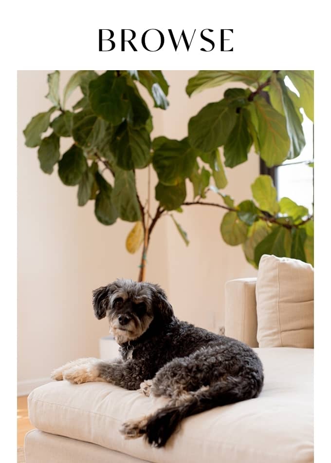 Browse Natural Pet Food