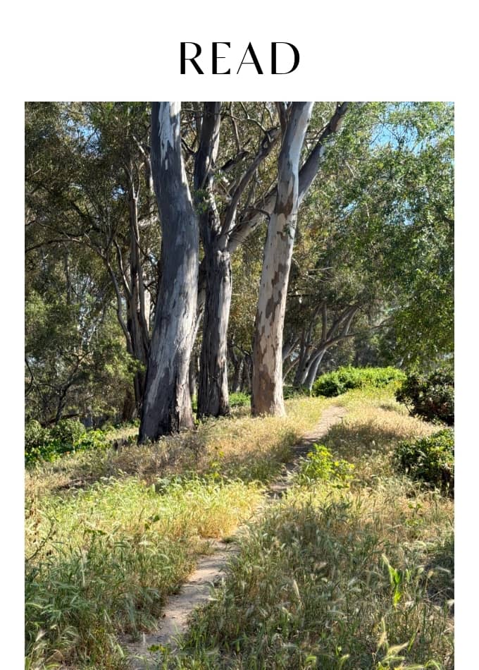 Read Sustainability Influencers Inspiring Us To Do Better   