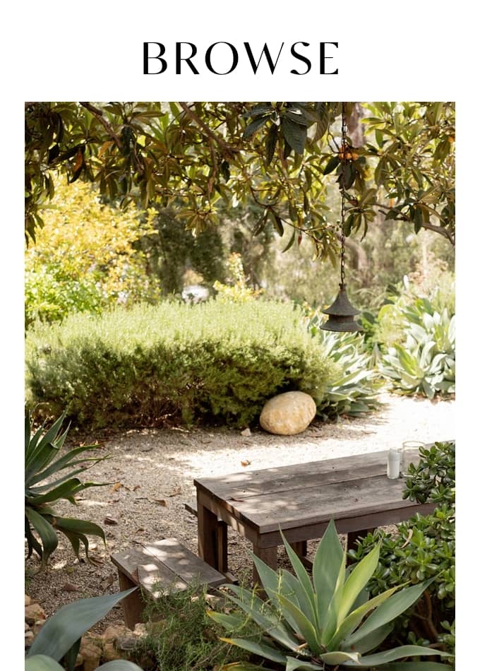 Browse Wellness Festivals & Retreats