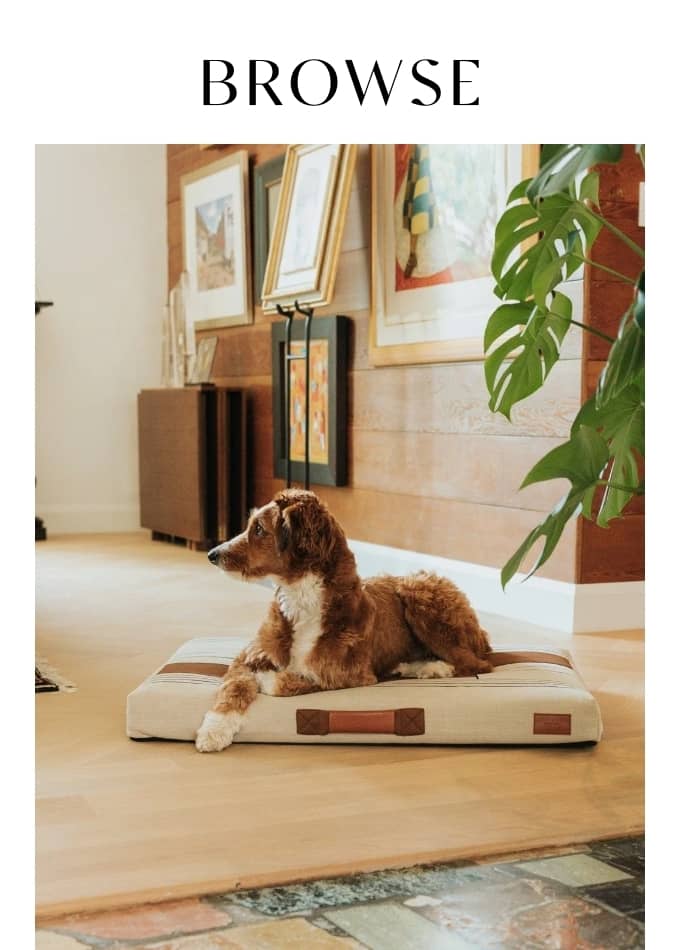 Browse Sustainable Orthopedic Dog Beds