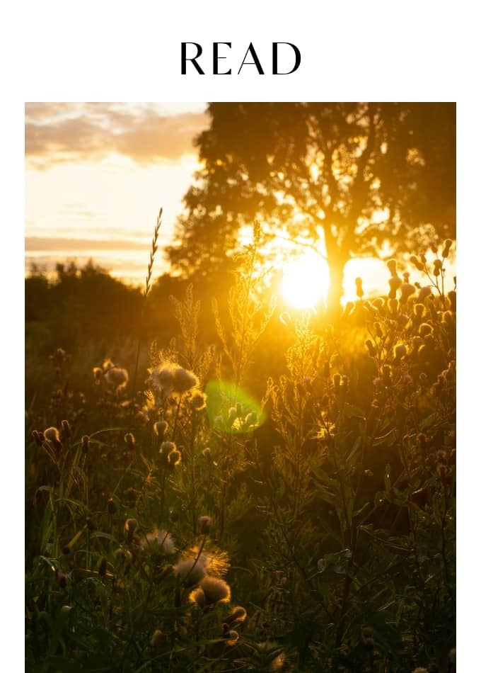 What Is The Summer Solstice? And How To Celebrate It For 2025