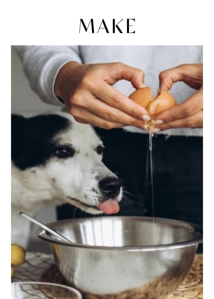 Make Homemade Pet Treats