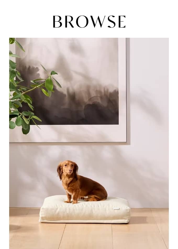 Browse Eco-Friendly Dog Beds 