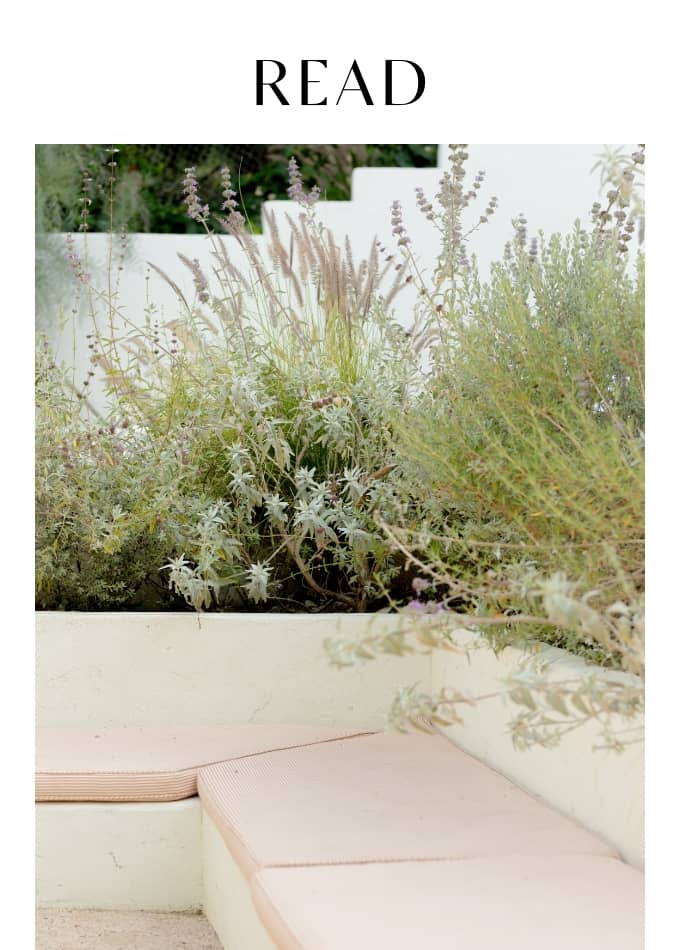 Here Are The Virtues I Am Growing In My Community Garden