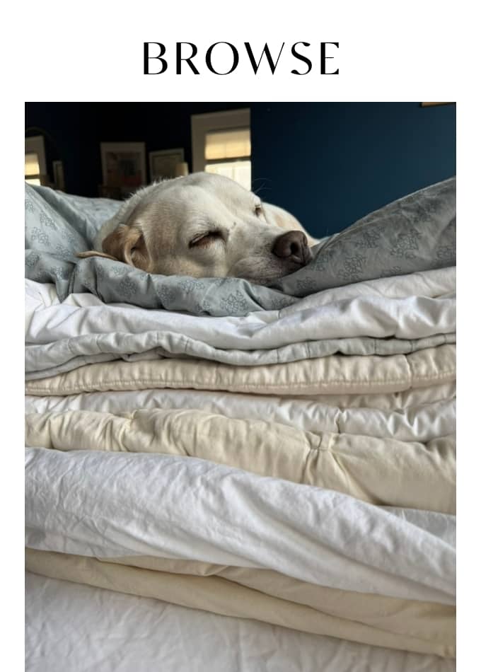 Browse The Best Organic Cotton Comforters For 2026