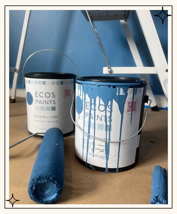 SEE OUR EDITOR'S REVIEW OF ECOS PAINT