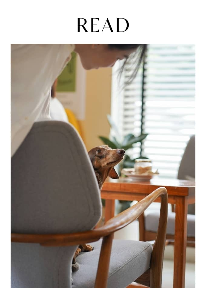 How To Mindfully Add A New Pet to Your Home (From An Animal Adoption Counselor)