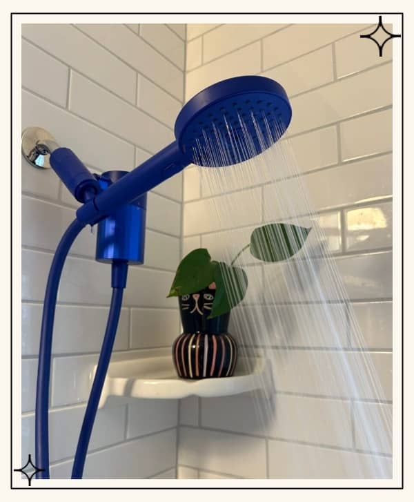 BROWSE SHOWER HEAD FILTERS