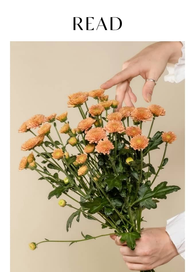 Read 99 Ways To Say "I Love You" To Someone You Care About