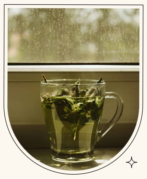 CHOOSE YOUR TEA BLEND