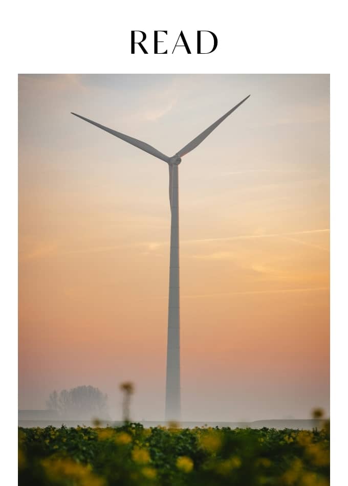 What's The Deal With AI And The Environment?