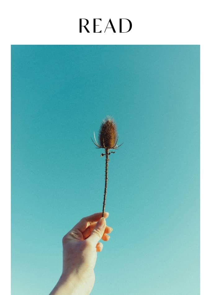 Read Why I'm Embracing My "Inner Crone" At Age 55 