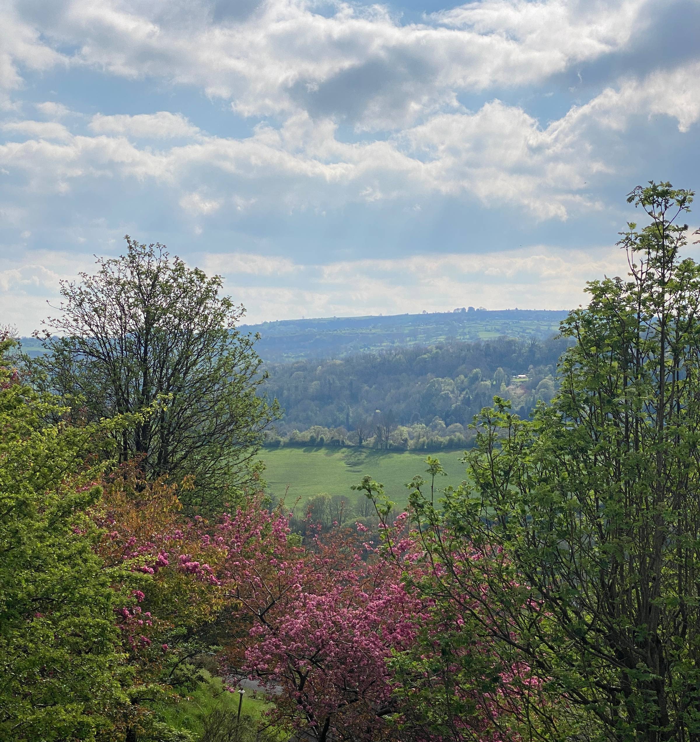 View of tree tips and lush rolling hills of Matlock, Derbyshire.