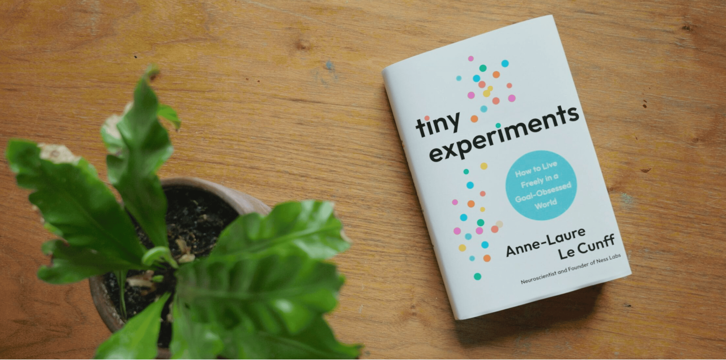 "Tiny Experiments" book on a wooden table with a plant nearby.