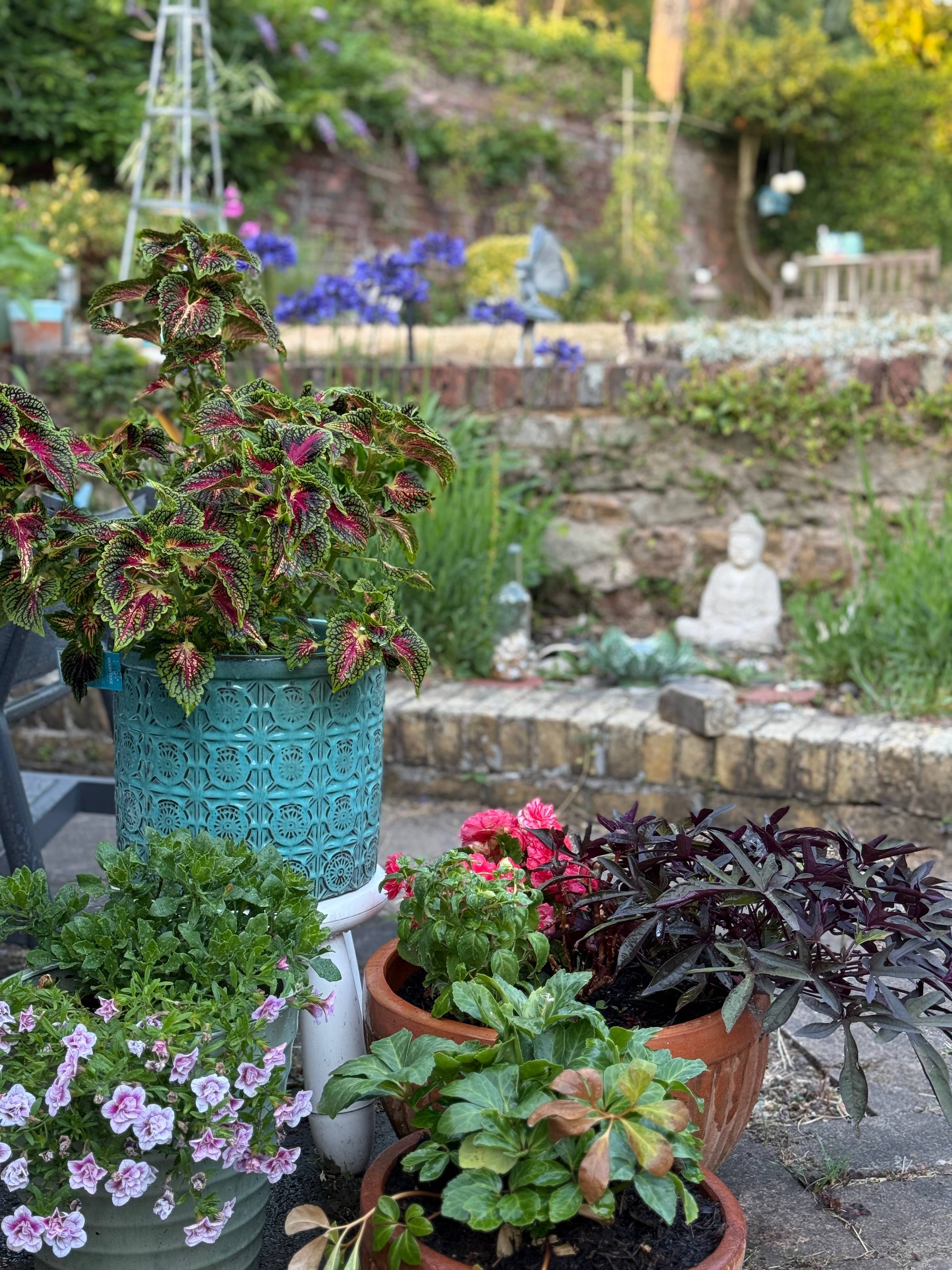 plants in pots in a garden with a buddha in the background