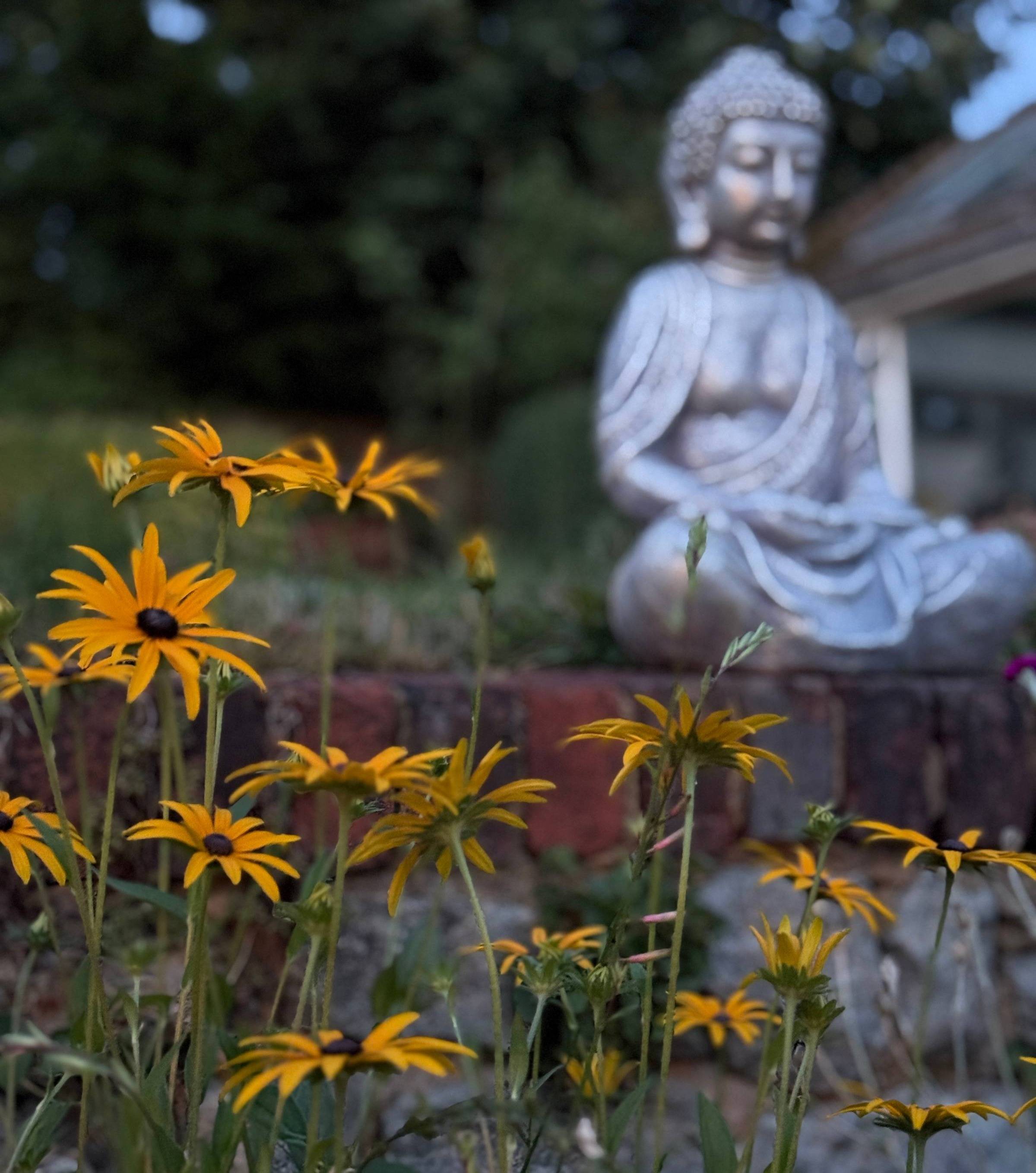 Black-eyed Susan flowers in the foreground and a buddha in the background