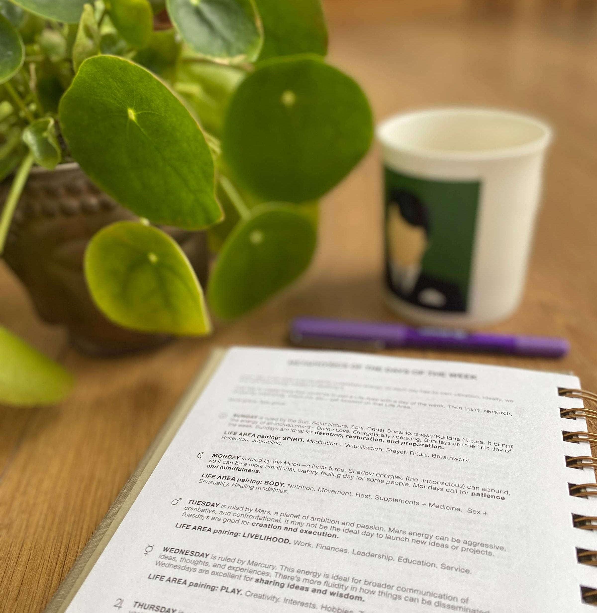 Danielle LaPorte's Heart-Centered Planner sits on a table with a money plant, mug of tea and a purple pen next to it.