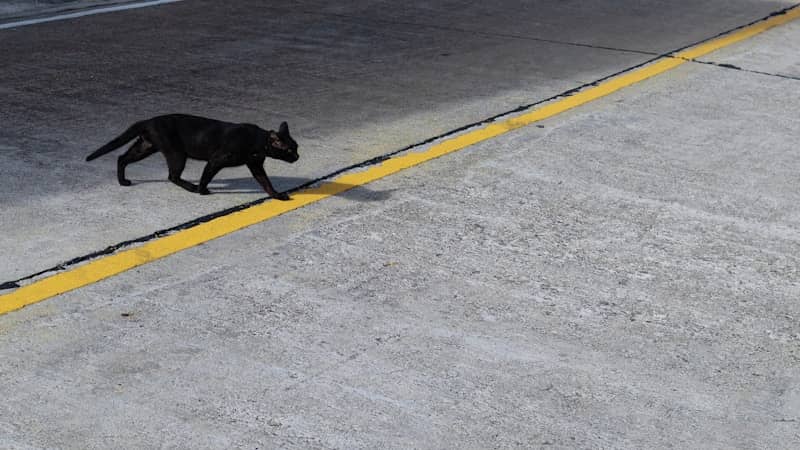 Is it BAD LUCK to be superstitious?