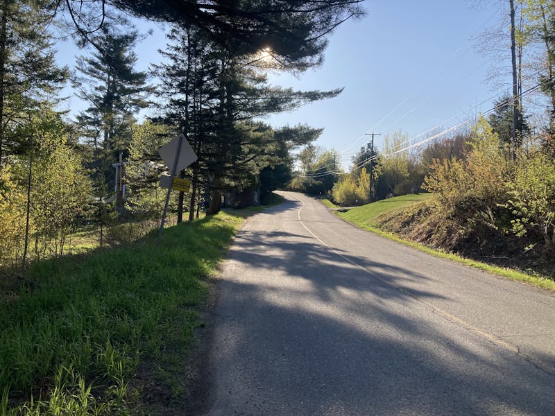 A picture looking along a country road