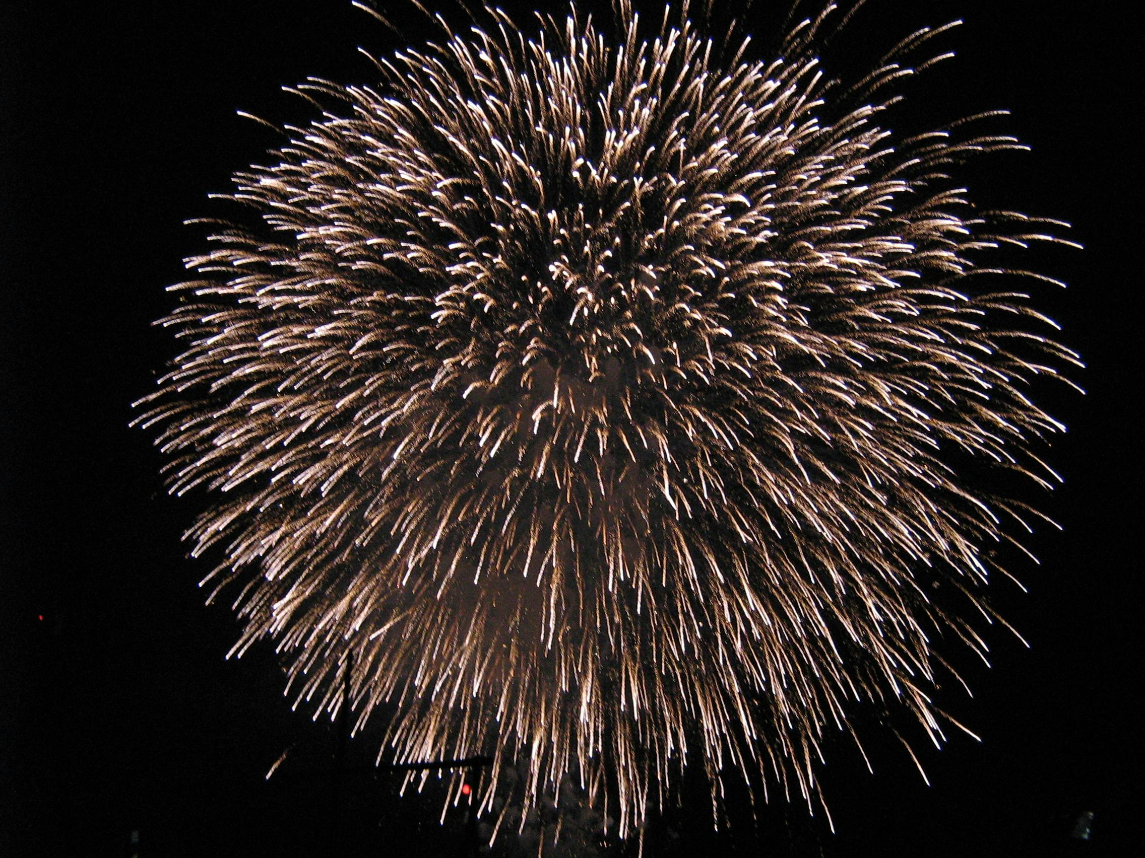 A photo of a firework exploding in the night sky