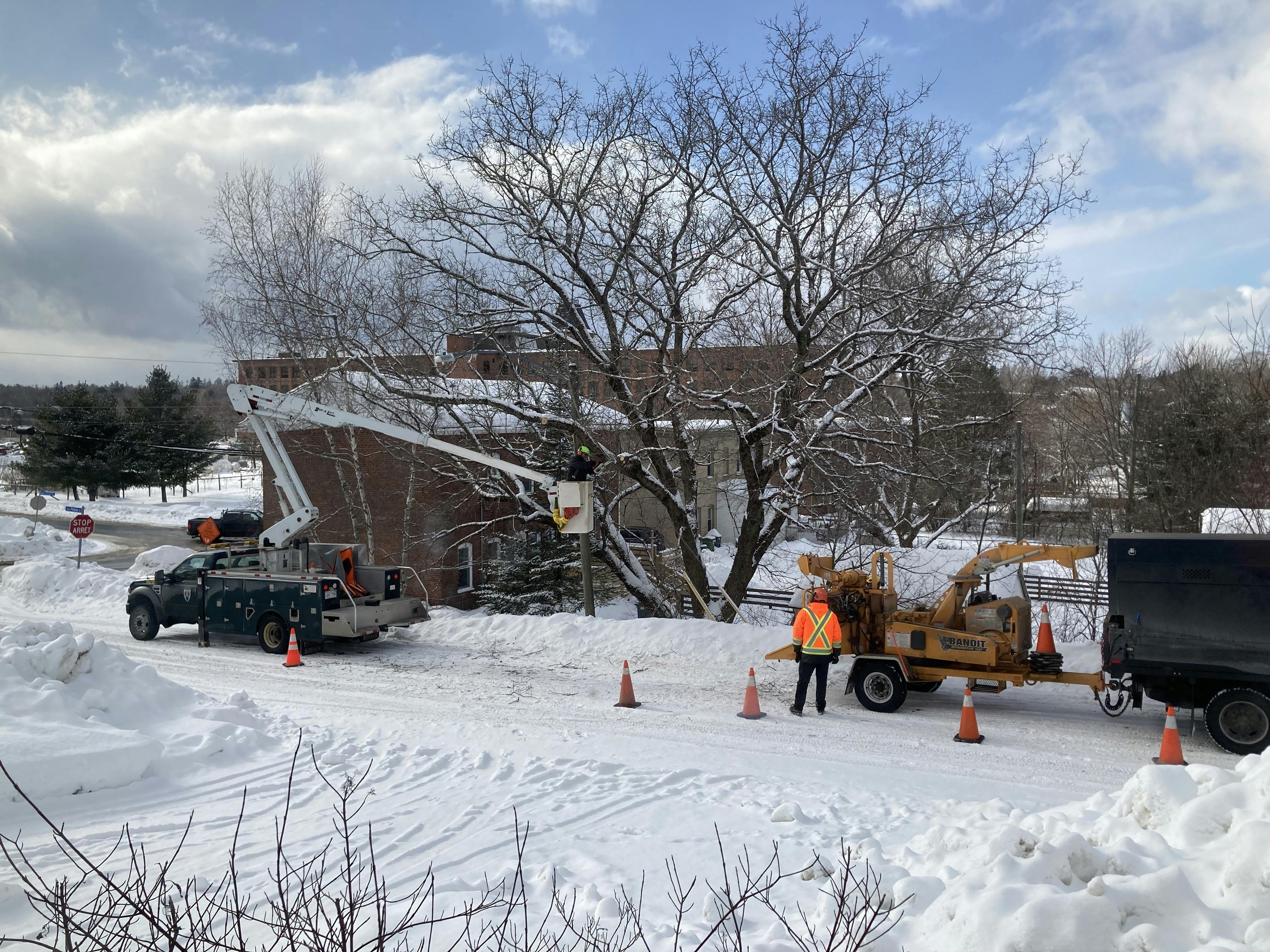 A photo of city workers tending to a tree that is growing over the road and needs trimming back. One is in an elevated bucket and the other is standing by a chipper.