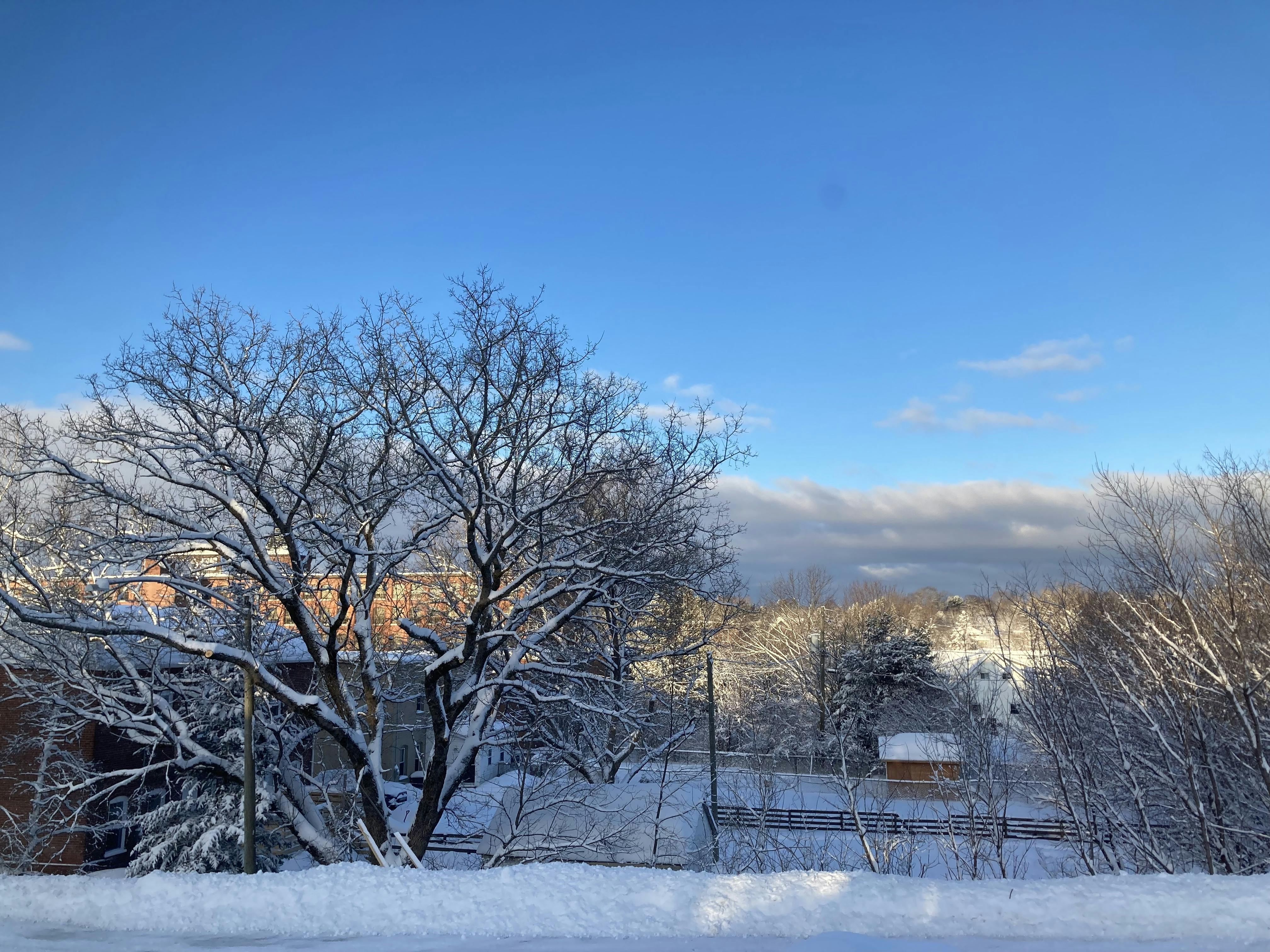 A picture of a perfect morning after a night of snowfall