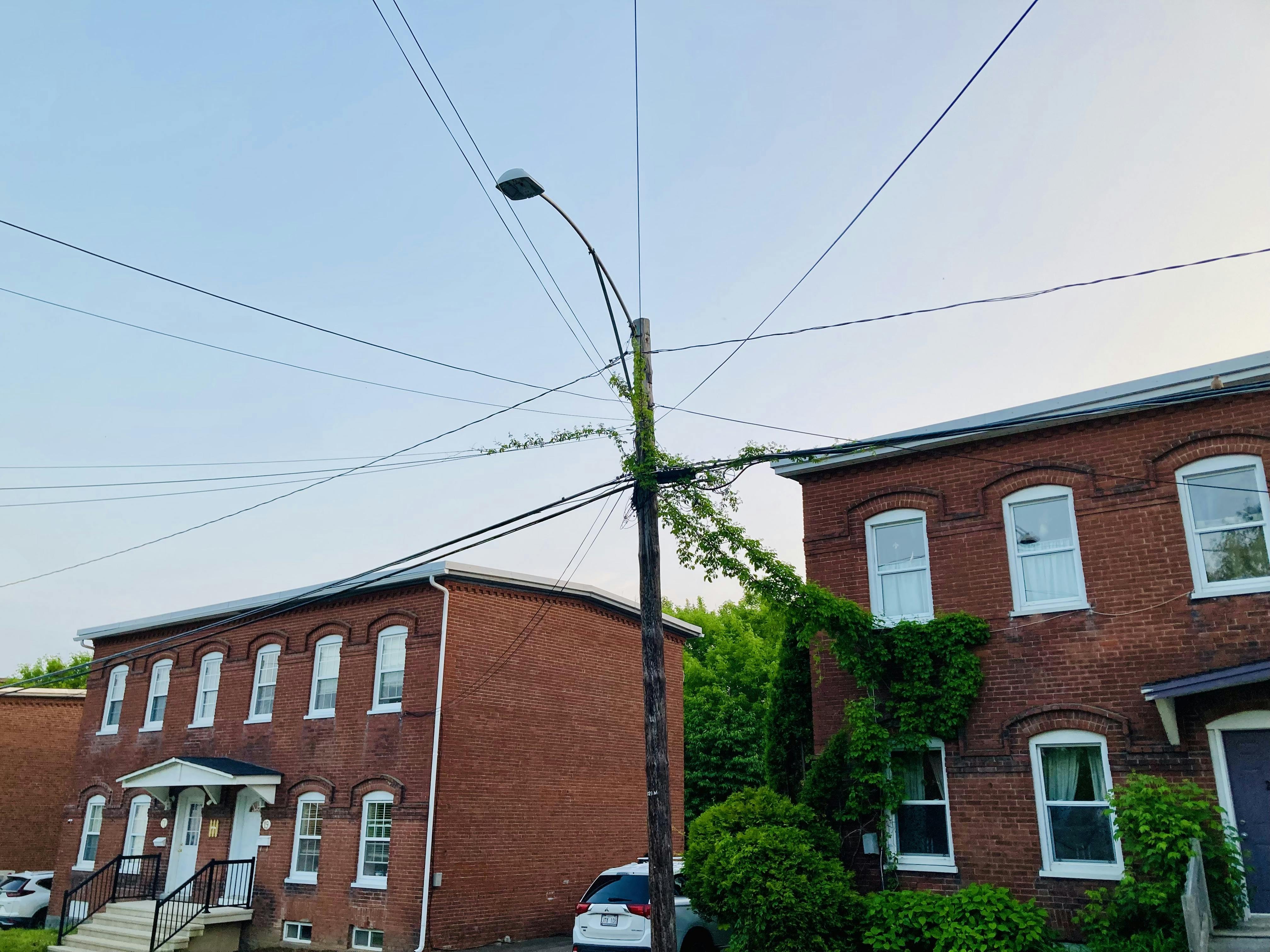 A photo of a streetlamp pole between two brick houses. The pole has many wires attached to it, shooting off in all directions, with a creeping vine growing up it and spreading out to some but not all of the wires.