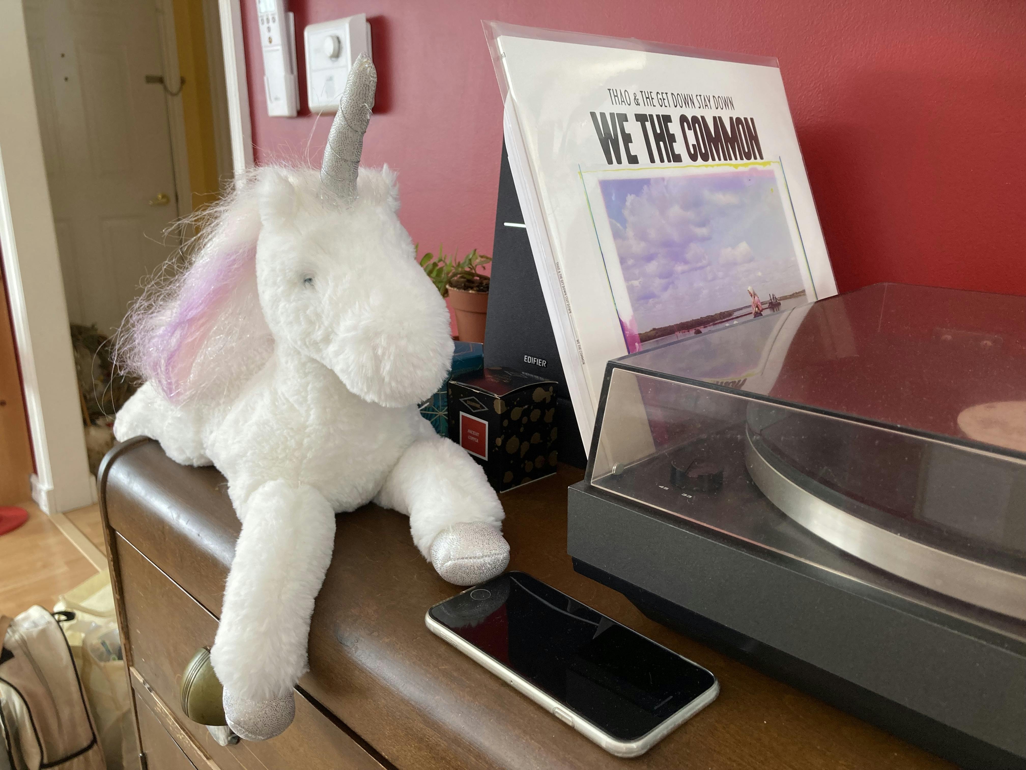 A magical unicorn DJ-ing and a record of Thao and the Get Down Stay Down's We The Common next to a record player