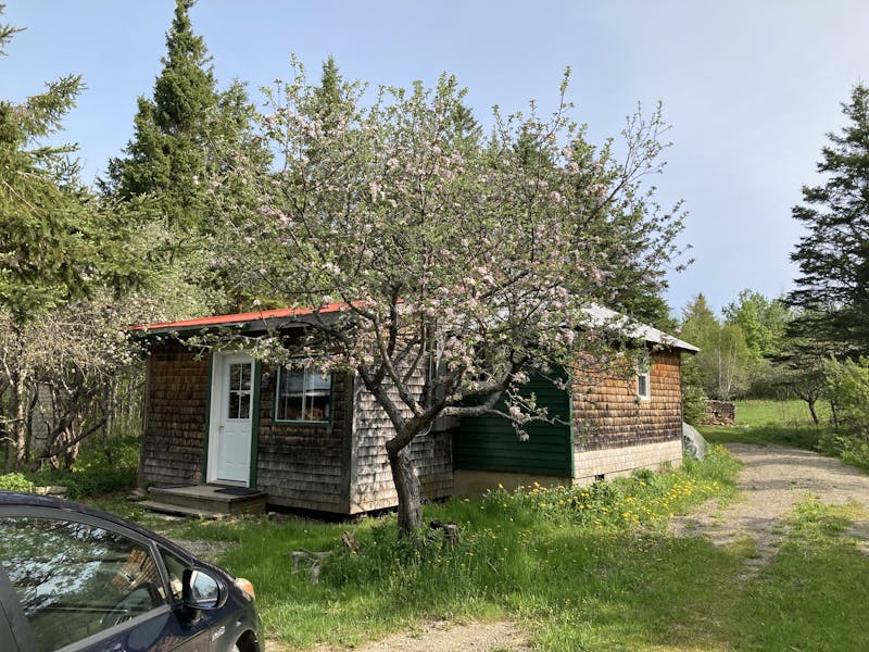 A photo of a cottage in a rural setting, with a blossoming apple tree beside the door and a car in the foreground