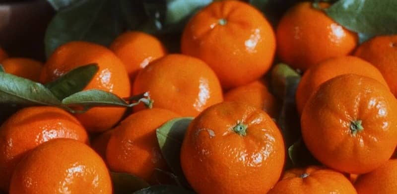 A pile of fresh, ripe tangerines with green leaves.