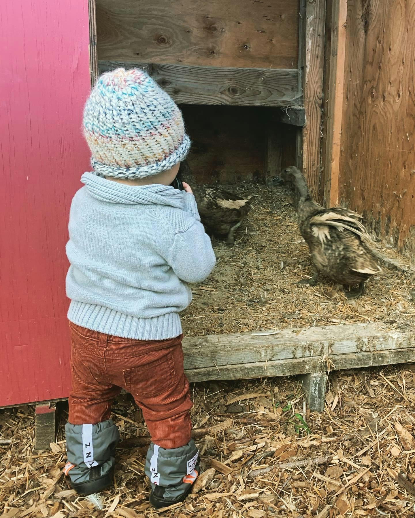 Children are curious by nature. 
It’s our job to cultivate and keep that fire alive.

#gentleparenting #conciousparenting #respectfulparenting #mccolloughfarms #farmlife #farmbaby