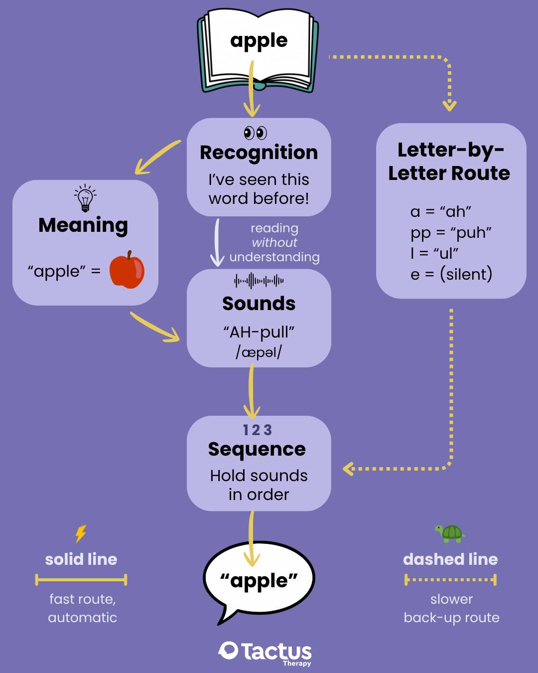 Steps of reading: from seeing the word to saying it