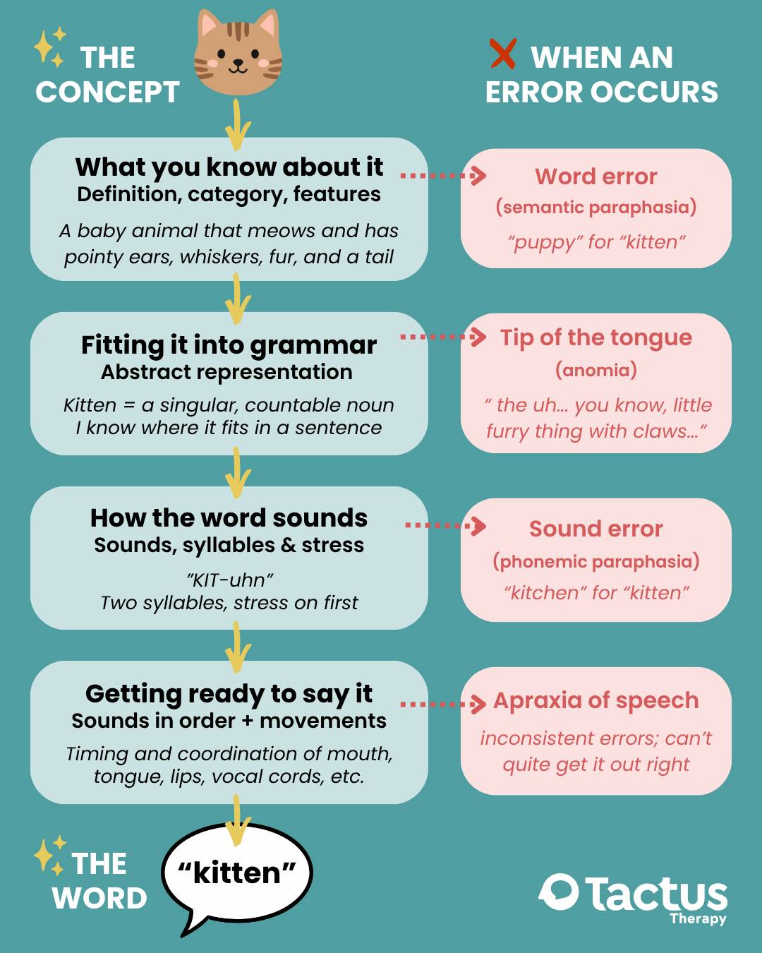 A diagram that shows the different steps of word finding and the errors that may occur due to a problem at that level