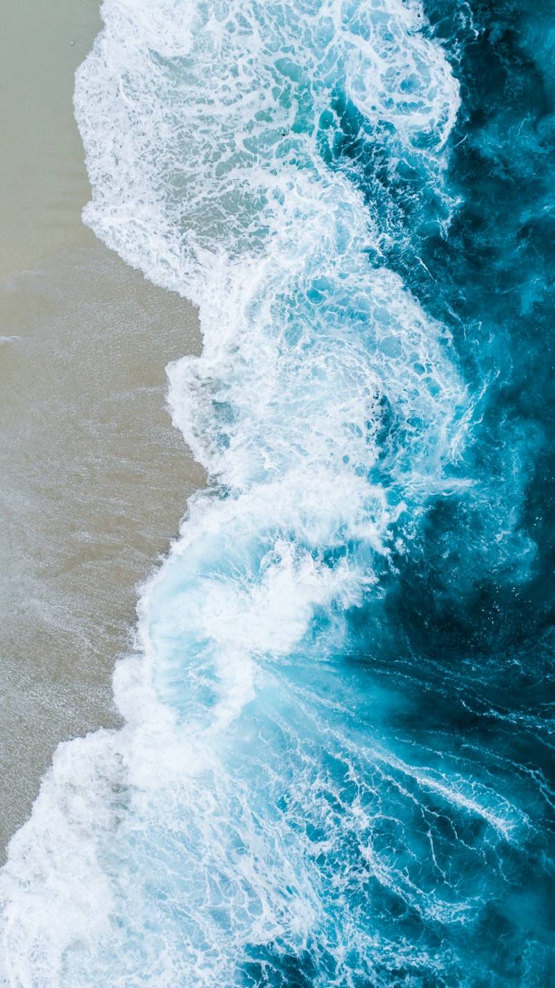 body of water on beach shore